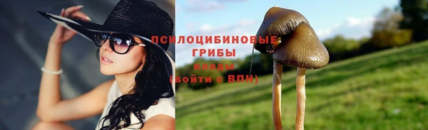 мяу мяу мука Козельск
