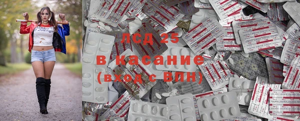 мяу мяу мука Козельск