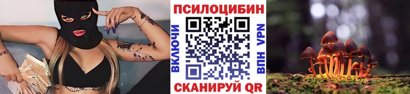 KRAKEN ССЫЛКА  Омутнинск  Псилоцибиновые грибы Cubensis 